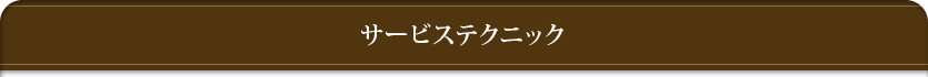 サービステクニック